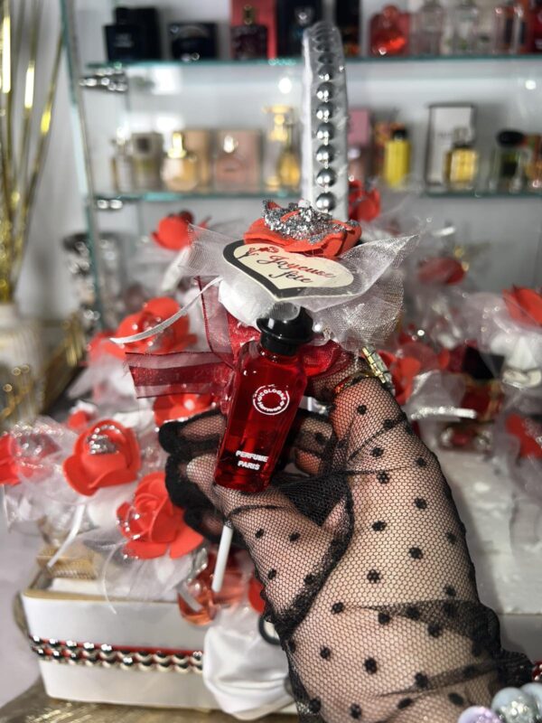 pack 10 mini parfums mélanger