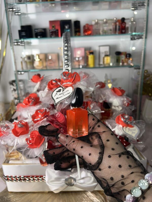 pack 10 mini parfums mélanger