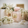 armani pivoine suzhou